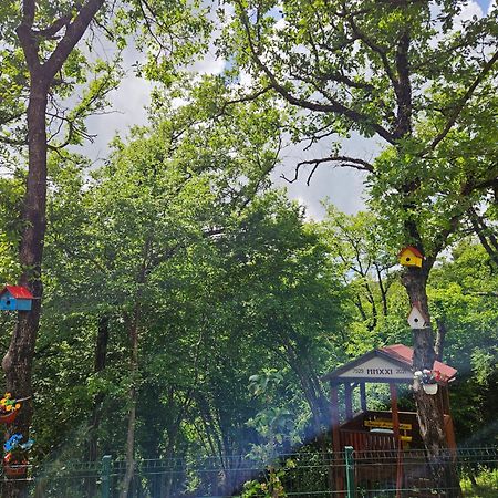 Villa Rada Igalo Ngoại thất bức ảnh